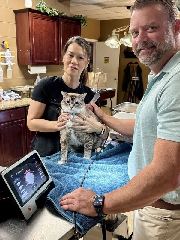 Signs Your Pet Needs Emergency Veterinary Care